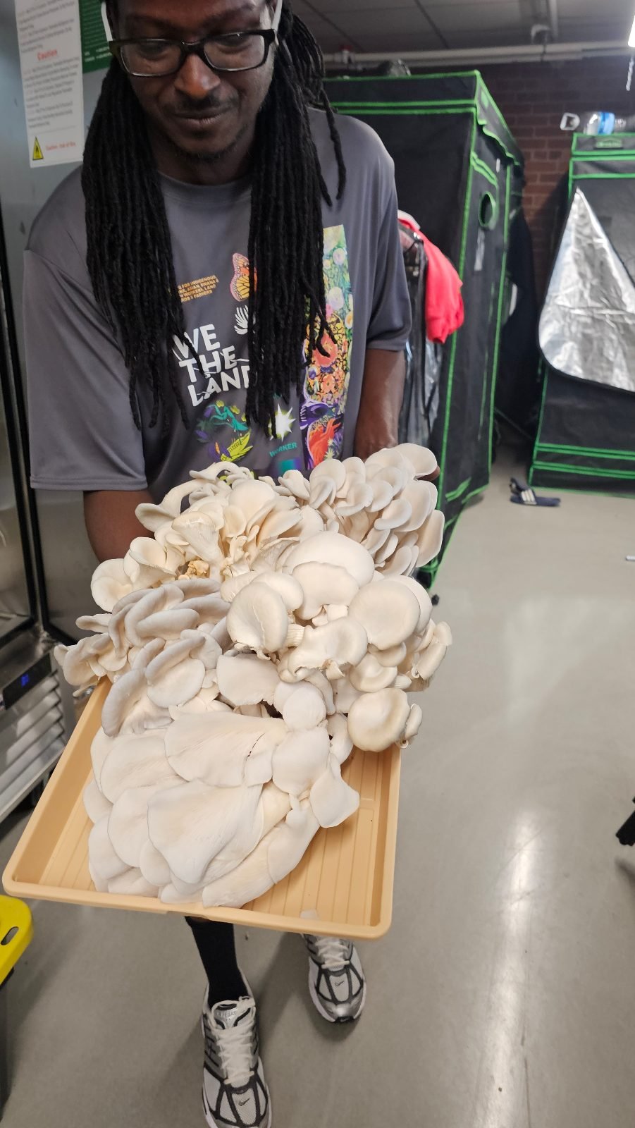 A Root Life grower carrying a tray of freshly harvested oyster mushrooms