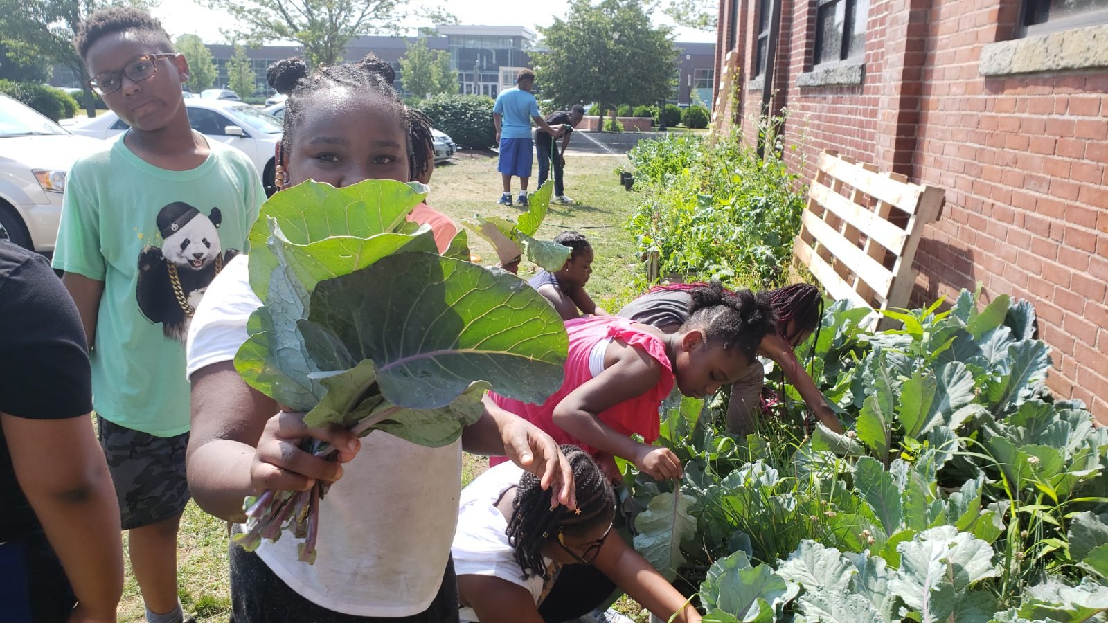 A young apprentice cutting collard leaves in the field beds, a full basket at their feet.