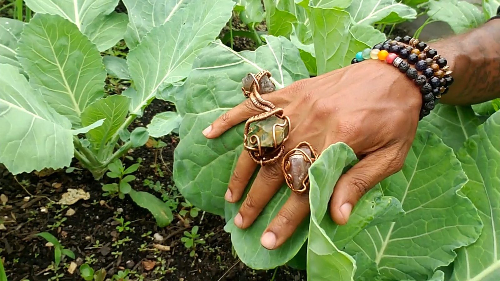 A hand resting open on broad collard leaves, wearing three copper-wrapped crystal rings and stacked beaded bracelets, with dark soil and young growth between the plants.