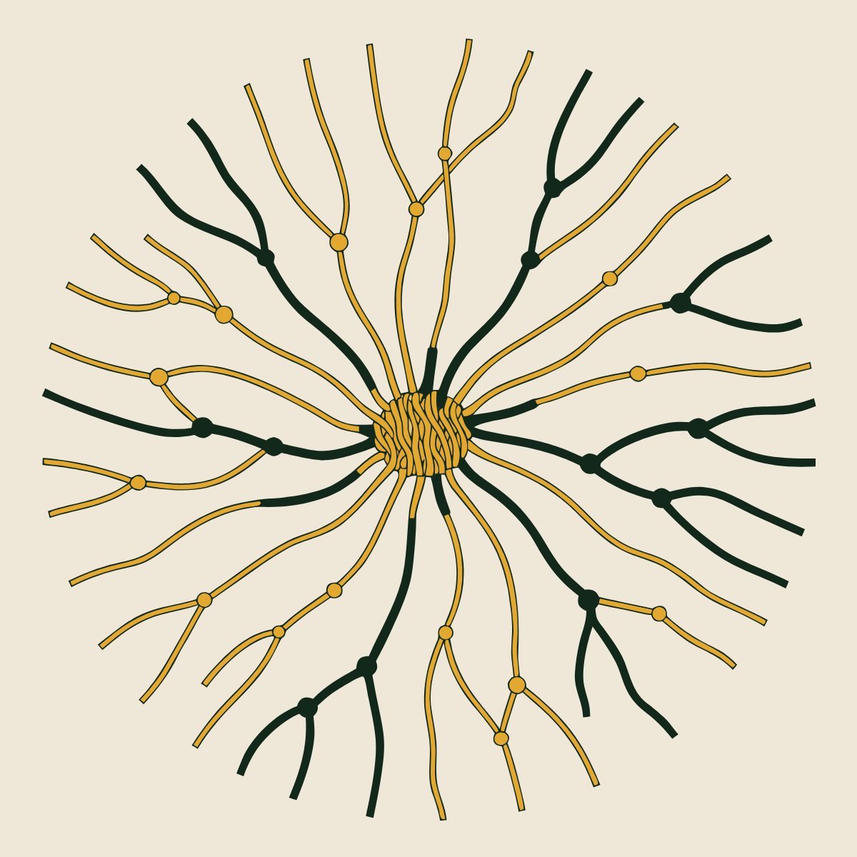 Illustration: from living soil and roots up through seedlings into golden canopy light